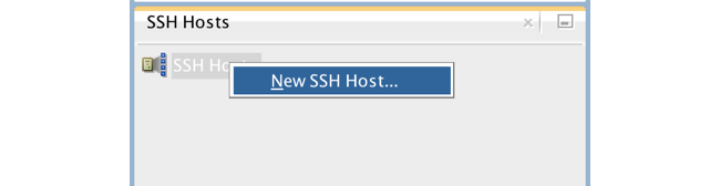 new_ssh_host