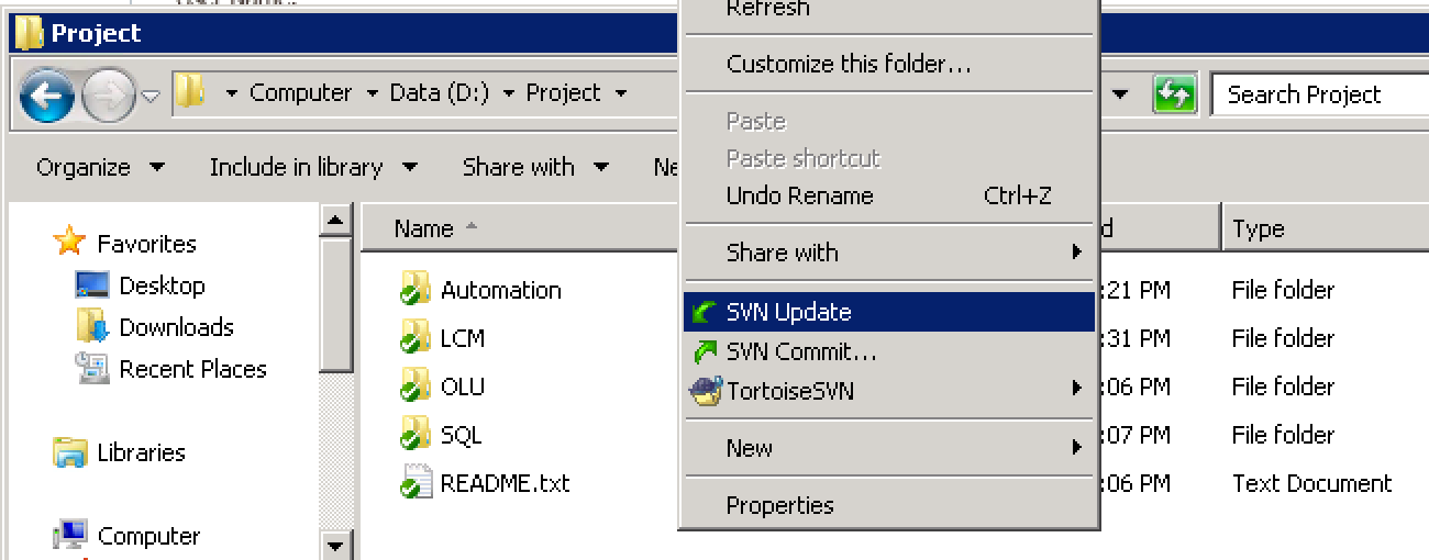 Example of Tortoise SVN Update